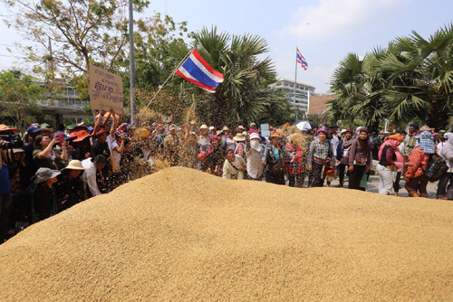 Sai lầm trong trợ giá gạo của Thái Lan ảnh 1